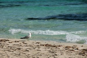 Crociere Alle Baleari