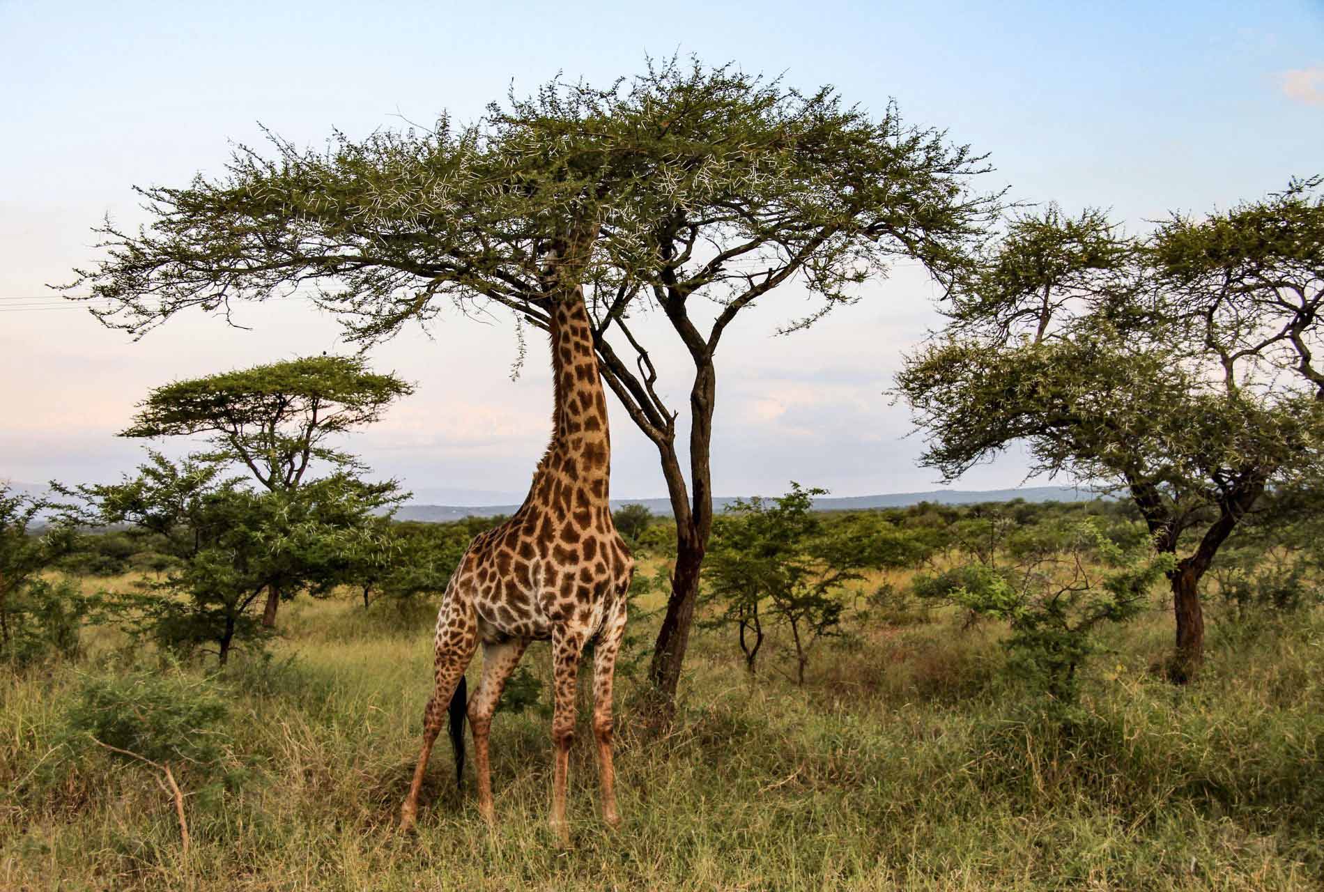 Destinazioni Crociere Sud Africa