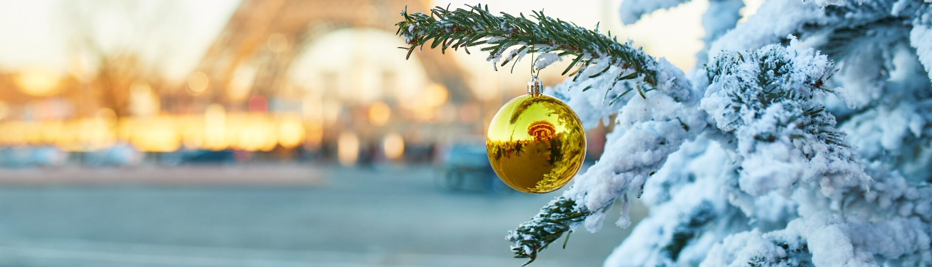 crociere di natale con albero di natale addobbato e con la neve