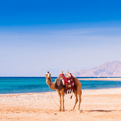 Destinazioni crociera - Mar Rosso