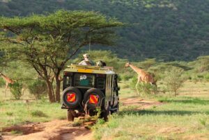 Escursione safari in Sud Africa