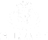 logo cunard bianco